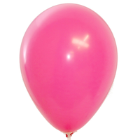 Zakje Extra Ballonnen Om Met Lucht Te Vullen 30 Of 50 Rose Ballonnen