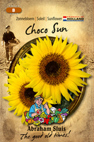 Zonnebloem 'choco Sun'