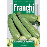 Zucchino Alberello Di Sarzana Courgette