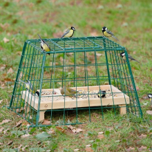 Beschermkooi Voor Kleine Tuinvogels