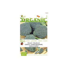 Broccoli Calabrese Natalino Bio