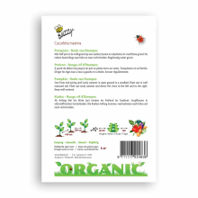 Buzzy Bio Organic Buzzy® Organic Pompoen Etampes (bio)