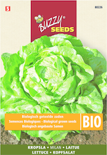 Buzzy® Seeds Bio Rucola Wilde Meerjarige (skal 14725 Nl Bio)