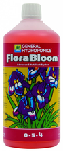 Ghe Florabloom