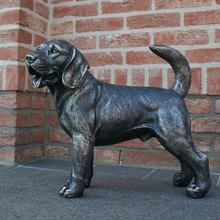 Hondenbeeld Spanil
