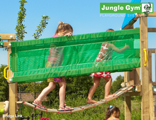 Jungle Gym | Bridge Link