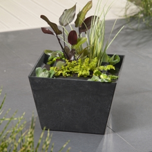 Moerings Waterplanten Mini Vijver Zwart Vierkant Compleet