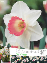 Narcis Pink Charm