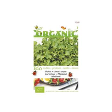 Pluksla Green Salad Bowl Bio