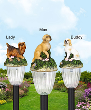 Set Solar Tuinlampen Hond